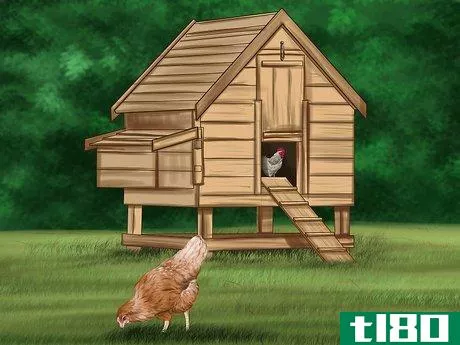 Image titled Build a Chicken Friendly Garden Step 12