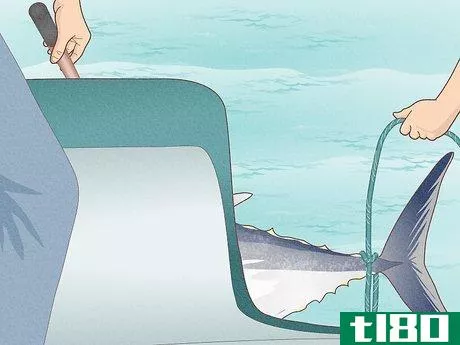 Image titled Catch Bluefin Tuna Step 15