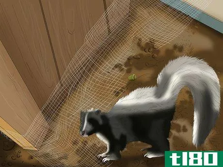 Image titled Care for a Skunk Sprayed Dog Step 16
