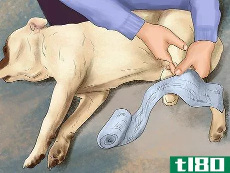Image titled Carry an Injured Dog Step 10