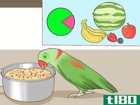 Image titled Care for an Eclectus Parrot Step 8