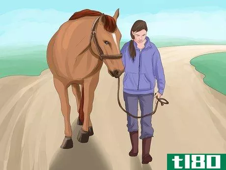 Image titled Get More Confident Around Horses Step 11
