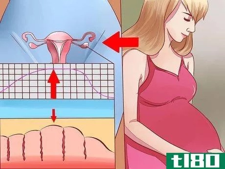 Image titled Avoid Skin Pigmentation During Pregnancy Step 7