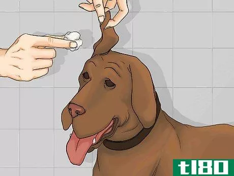 Image titled Bathe a Dog in a Shower Step 8