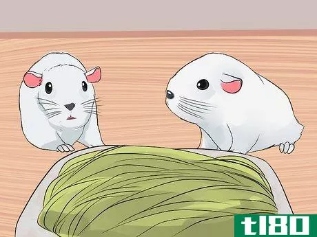 Image titled Care for Baby Guinea Pigs Step 8