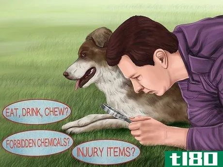 Image titled Avoid Poisoning Your Dog with Lawn Chemicals Step 8