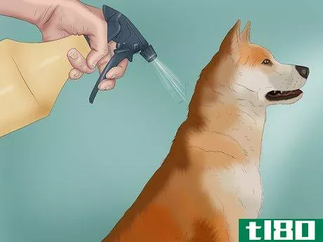 Image titled Care for a Skunk Sprayed Dog Step 8