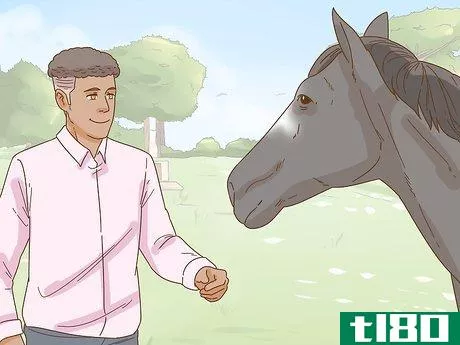 Image titled Calm Your Horse Down Quickly Step 5