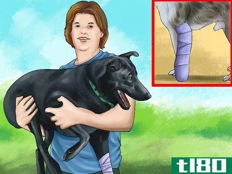 Image titled Carry an Injured Dog Step 2