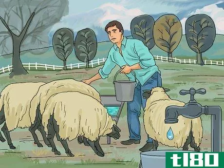 Image titled Care for Sheep Step 10