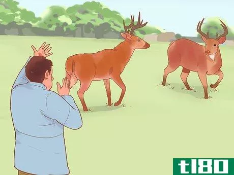 Image titled Break Up a Deer Fight Step 3