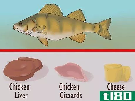 Image titled Catch Flathead Catfish Step 4