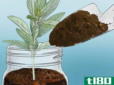 Image titled Build a Mason Jar Herb Garden Step 6