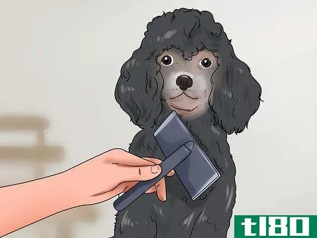 Image titled Be a Good Dog Owner Step 6