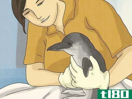 Image titled Become a Wildlife Rehabilitator Step 11