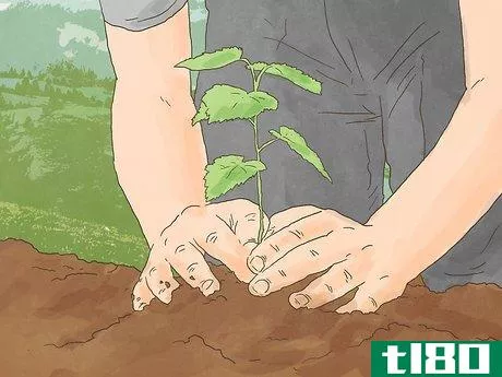 Image titled Avoid Greenwashing Step 14