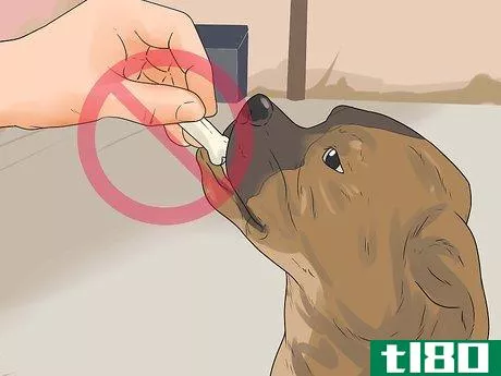 Image titled Catch a Stray Dog Step 17
