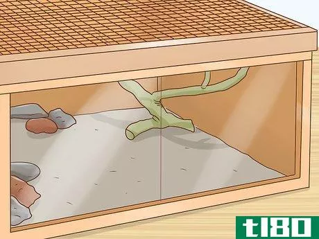 Image titled Care for Bearded Dragons Step 11