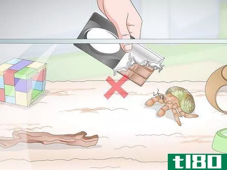 Image titled Care for Land Hermit Crabs Step 13