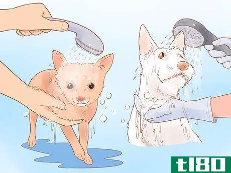 Image titled Be a Responsible Pet Parent Step 14
