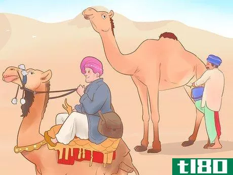 Image titled Buy a Camel Step 17