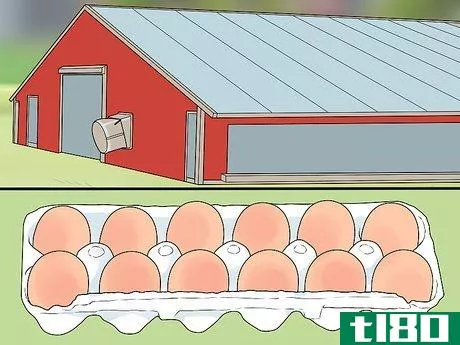 Image titled Buy an Egg Incubator Step 11