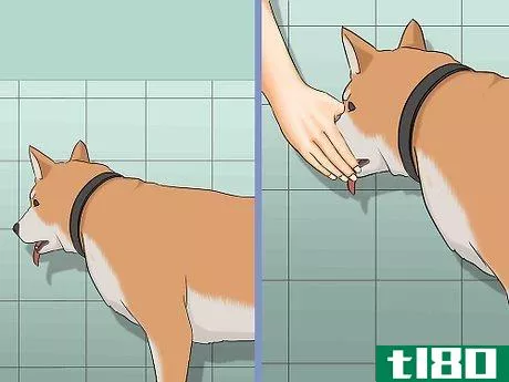 Image titled Bathe a Dog in a Shower Step 15