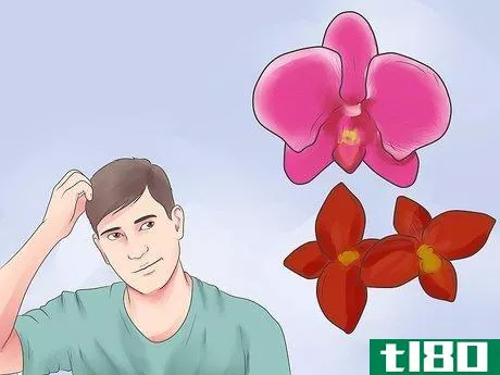 如何在室内照料兰花(care for an orchid indoors)