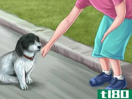 Image titled Be Good With Small Dogs Step 3