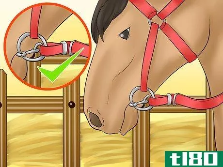 Image titled Calm Your Hot Horse Step 8