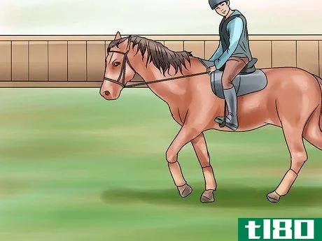 Image titled Canter With Your Horse Step 2