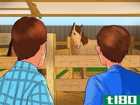 Image titled Buy a Trail Horse Step 10