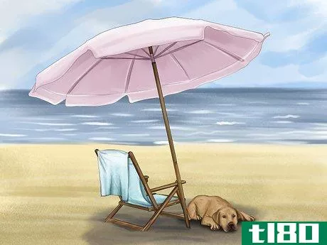 Image titled Care for Your Dog on the Beach Step 6