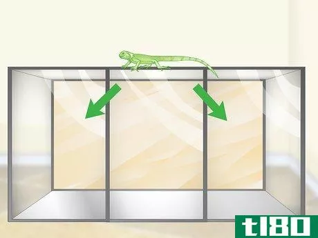 Image titled Care for a Green Iguana Hatchling Step 1