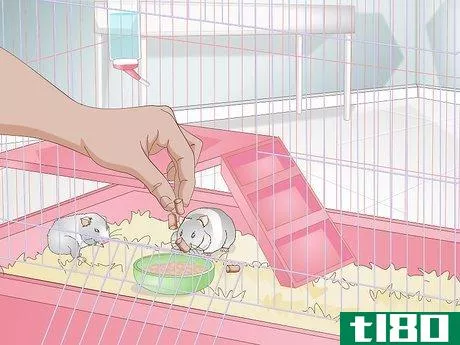 Image titled Care For a Mother Hamster and Her Babies Step 8