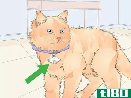 Image titled Buy a Collar for Your Cat Step 3