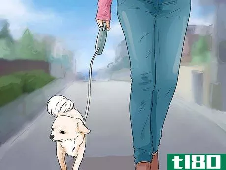 Image titled Care for Your Chihuahua Step 13