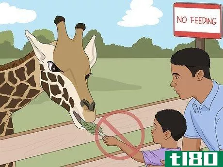 如何动物园的行为(behave in a zoo)