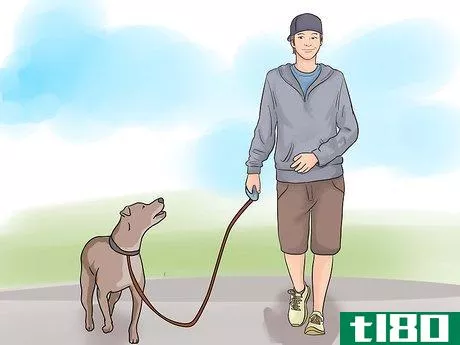 Image titled Walk a Dog Step 3