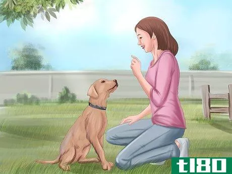 Image titled Teach Your Dog to Sit Step 1