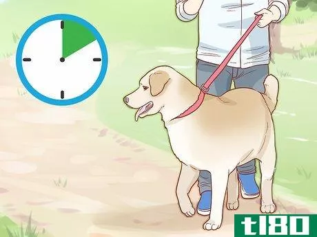 Image titled Care for Your Older Dog Step 3