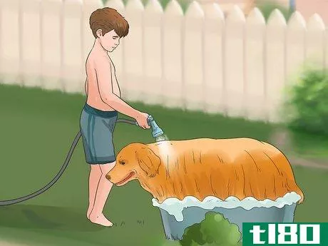 Image titled Be a Good Pet Owner (for Kids) Step 3