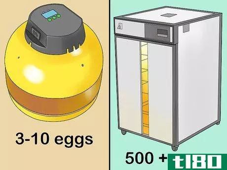 Image titled Buy an Egg Incubator Step 4