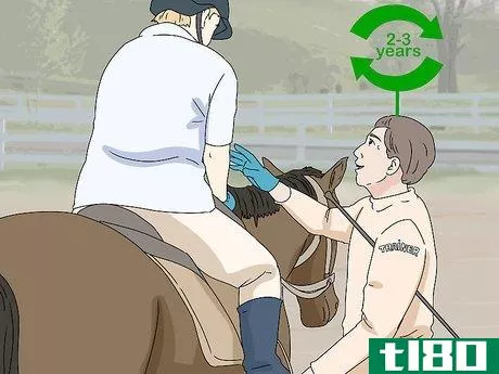 Image titled Be a Good Horse Rider Step 12