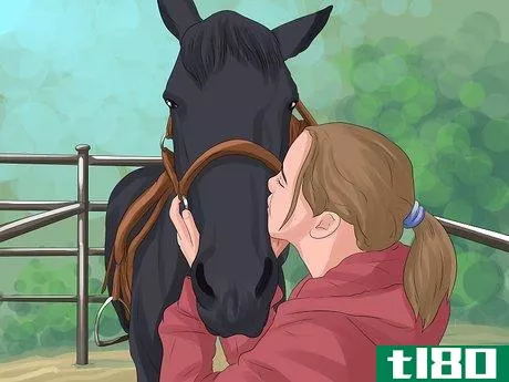 Image titled Get More Confident Around Horses Step 3