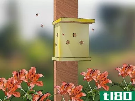 Image titled Build a Ladybug House Step 13