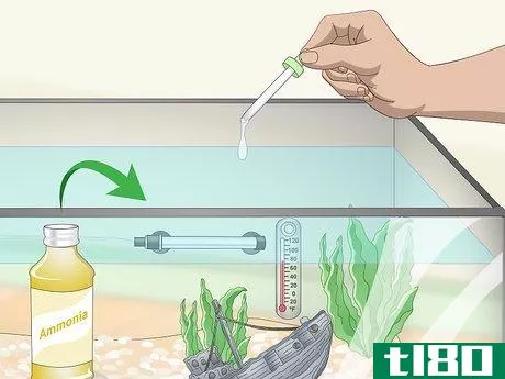 Image titled Build a Freshwater Predator Fish Aquarium Step 8
