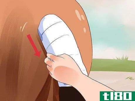 Image titled Apply a Horse Tail Bandage Step 8
