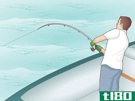 Image titled Catch Bluefin Tuna Step 6