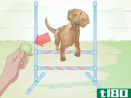 Image titled Build a Dog Agility Jump Step 13